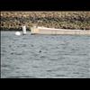 IMG_6475
3/21/2007 1:26:18 PM